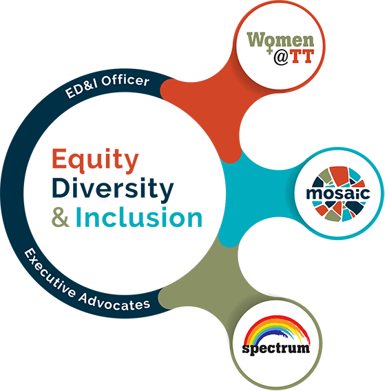 inclusion-diversity