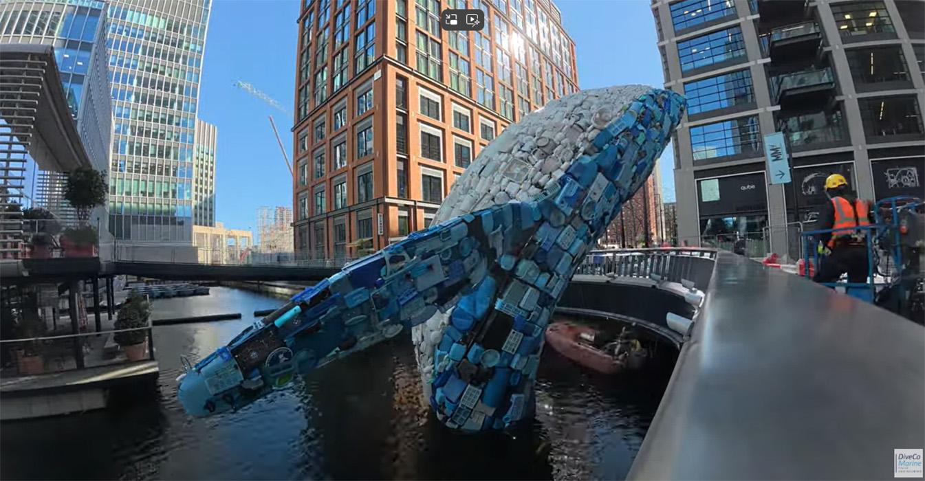 Whale on the Wharf