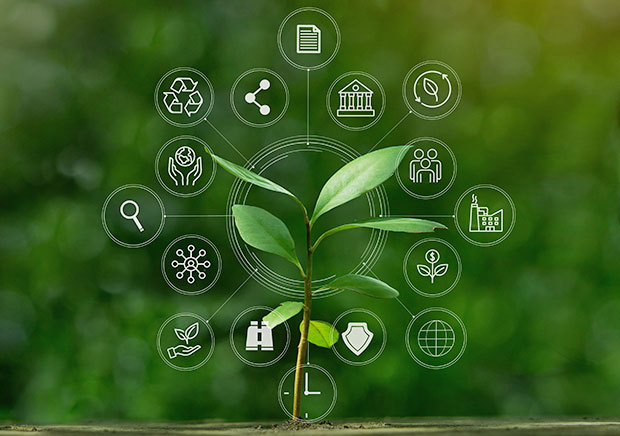 Our Impact on Local & Global Communities