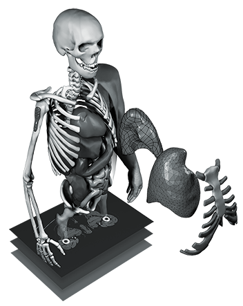 life sciences here's how