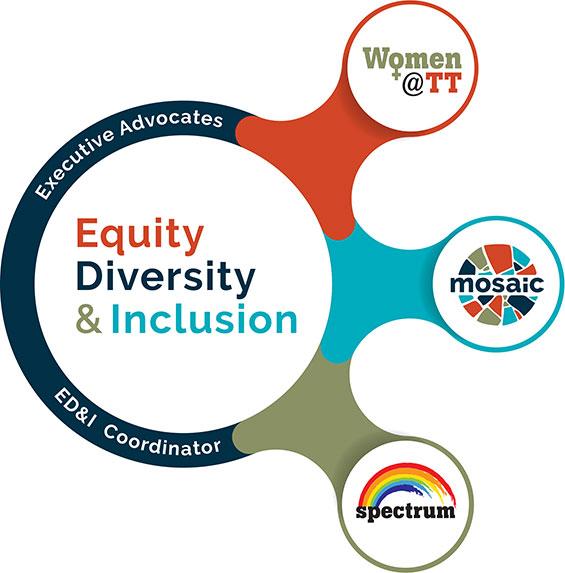 inclusion-diversity