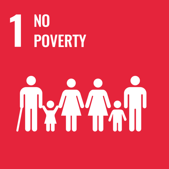 UN Sustainable Development Goals