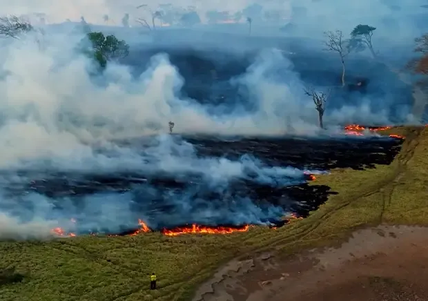 Every wildfire has an origin and cause. Finding that origin and cause is important. Understanding why it became a wildfire is much harder. 
