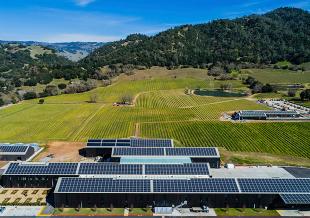 silver-oak-anderson-valley