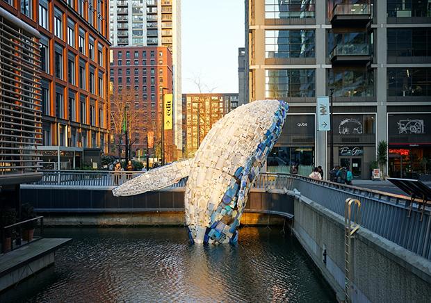 whale