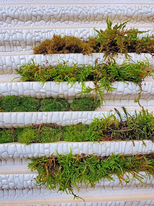 The moss was placed in recessed unglazed sections of the rainscreen panel. This made it easier for the moss to attach to the terra-cotta and will keep growth within specific areas.