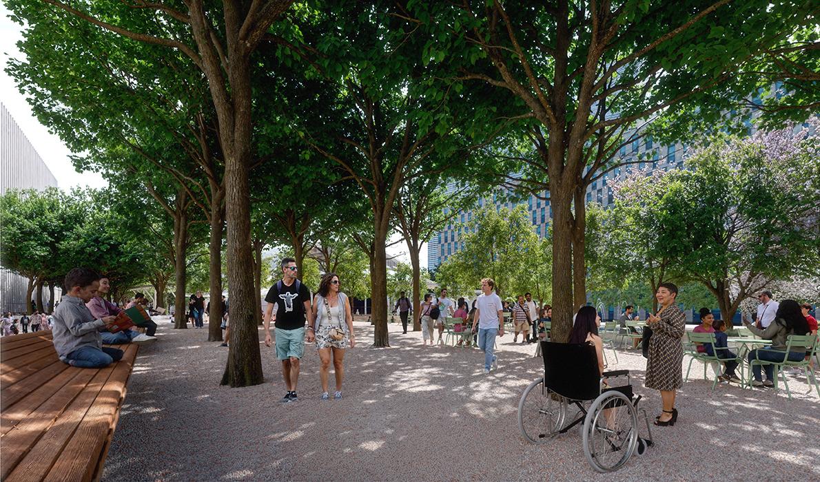 Lincoln Center Damrosch Park Revitalization in New York. View of grove within Damrosch Park with shade and seating, looking east.