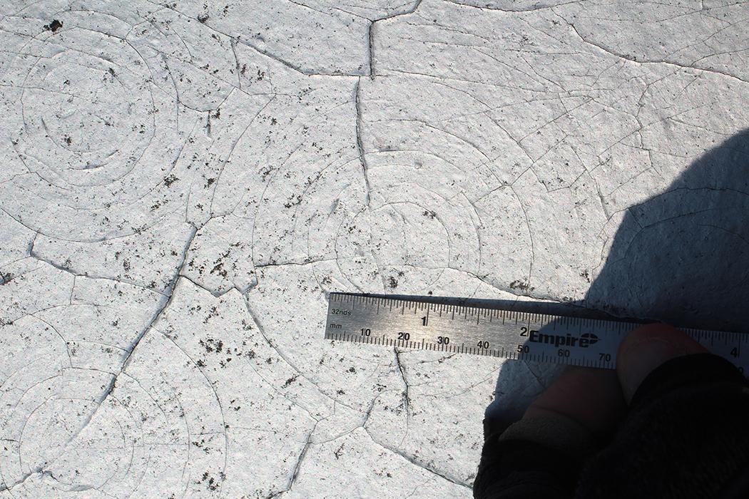 Hail impact on smooth modified bitumen roofing.