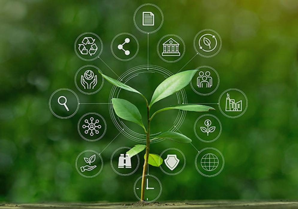 Our Impact on Local & Global Communities