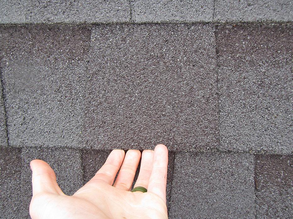 The building features wood-framed construction with stucco cladding, asphalt shingle gable roofs, thermoplastic polyolefin (TPO) flat roofs and a polycarbonate standing seam (PSS) portico roof. 