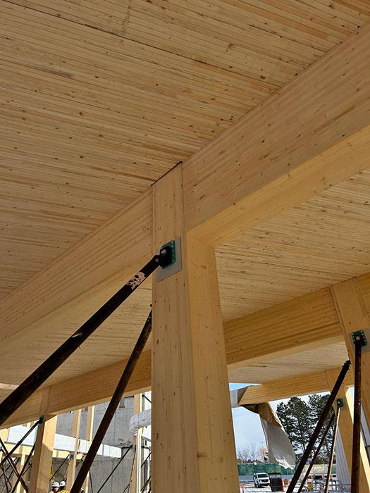 The guest services building anchors the arrival experience and incorporates an outdoor river otter habitat with associated support spaces. 