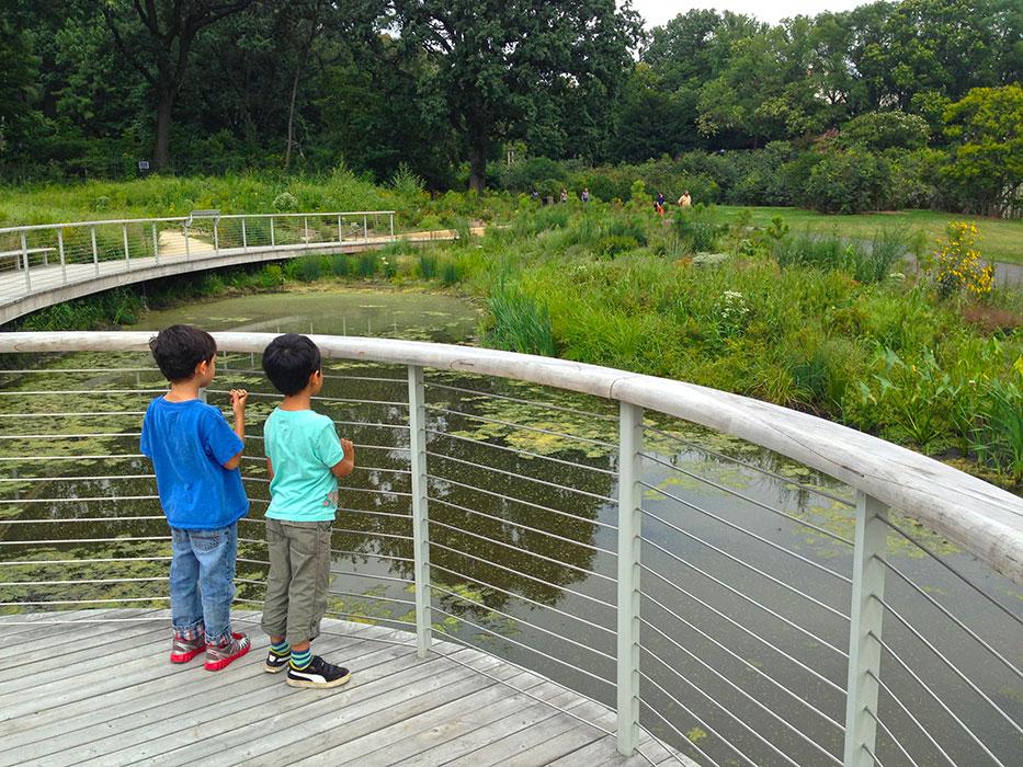 Native Flora Garden at the Brooklyn Botanic Garden.